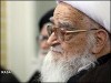 آيت الله صافي گلپايگاني: نماينده مجلس بايد مستقل باشد نه اينكه فقط طرف دولت را بگيرد