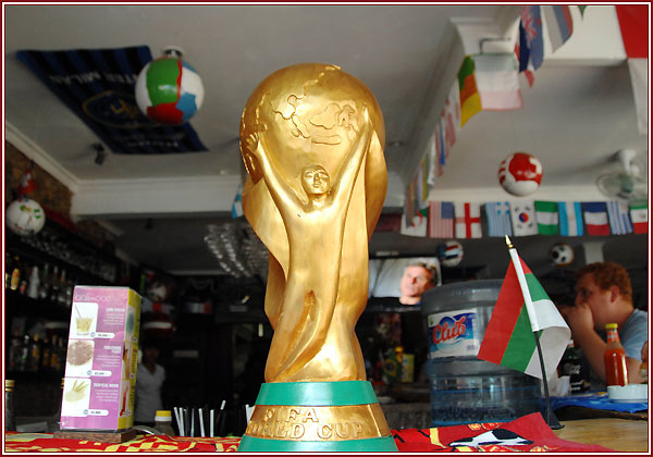 عكس هايي از هواداران جام جهاني 2010 آفريقاي جنوبي