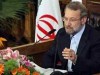 علي لاريجاني: هدف مردم مصر عزل یک ژنرال پیر و جایگزینی چند ژنرال جوان تر نیست