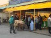 اینکه می گویند حق با مشتری است در میادین میوه و تره بار ما صدق نمی کند